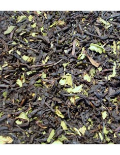 Té Menta Alejandrina