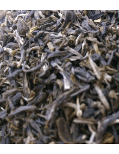 Te Jazmín Blanco "King of Jasmine"