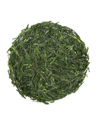 Te verde Sencha GYOKURO Japonés Biológico
