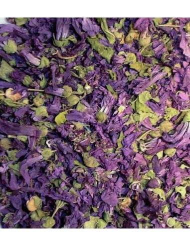Malva Flor, Extra
