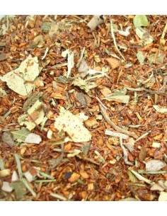 Rooibos Modelate (Quemagrasas)