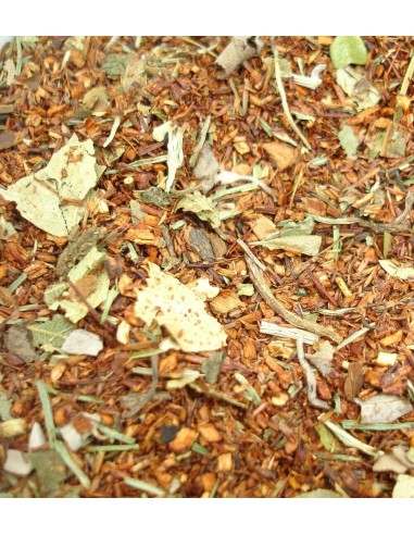 Rooibos Modelate (Quemagrasas)