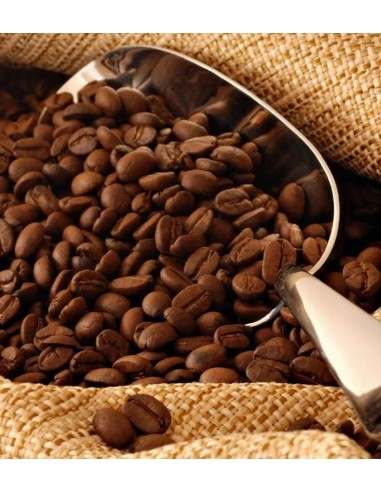 Café Caracolillo Nicaragua