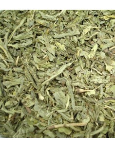 Té Desteinado Tuareg-Moruno