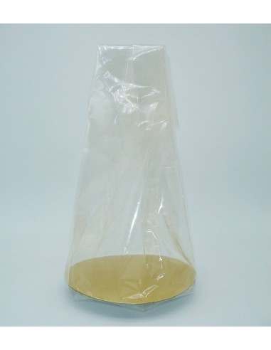 Bolsa Transparente con Base