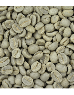 Granos de café verde, sin tueste