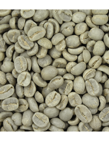 Granos de café verde, sin tueste