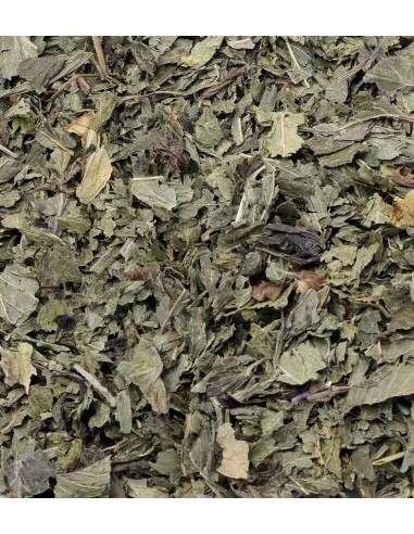 Menta extra cortada