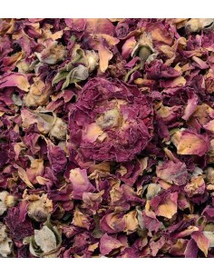 petalos de rosa entera