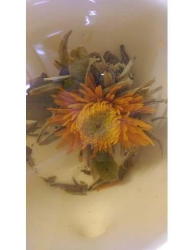 Bloomings Flor de té Caléndula Melocotón(12ud)