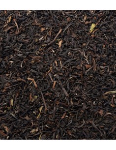 Té Darjeeling FTGFOP1 BIO