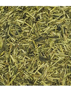 Té Japonés Kukicha Verde BIO