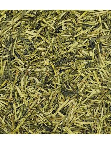 Té Japonés Kukicha Verde BIO