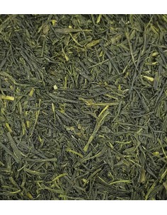 Té Sencha Japonés FUJI