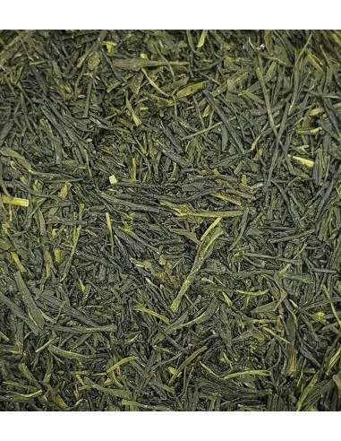 Té Sencha Japonés FUJI