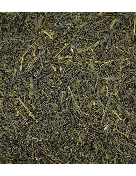 Té Sencha Gyokuro Asahi - Exclusivo