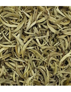 Té Blanco "Silver Needles" Yin Zhen Biológico