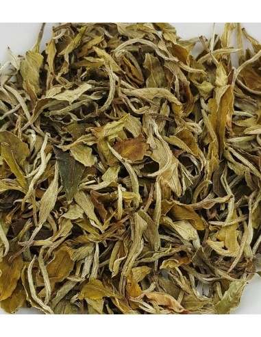 Té China Orchid Snow Buds BIO 100 gr