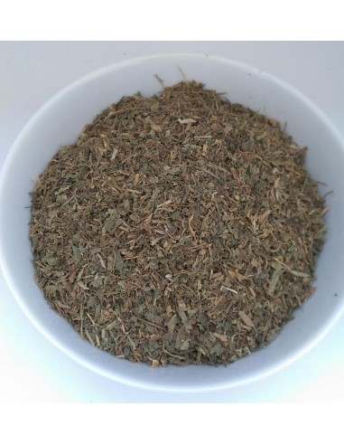 GOTU KOLA o Centella Asiática