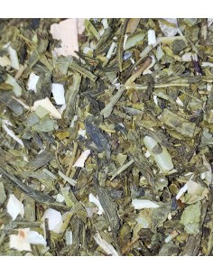 Comprar Té verde Slim Tea - Granada Tea Company