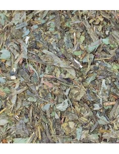 Comprar Té Verde Sencha Menta - Granada Tea Company