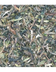 TE DARJEELING EARLY FIRST FLUSH BIO SFTGOP1- ORANGE VALLEY 2019