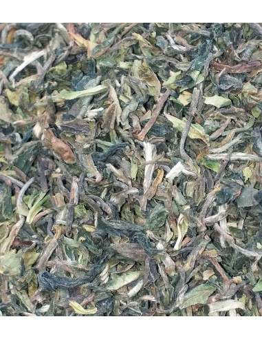 TE DARJEELING EARLY FIRST FLUSH BIO SFTGOP1- ORANGE VALLEY 2019