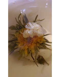 Comprar Bloomings. Flor de Té de jazmín y Caléndula(12ud) - Granada... 2