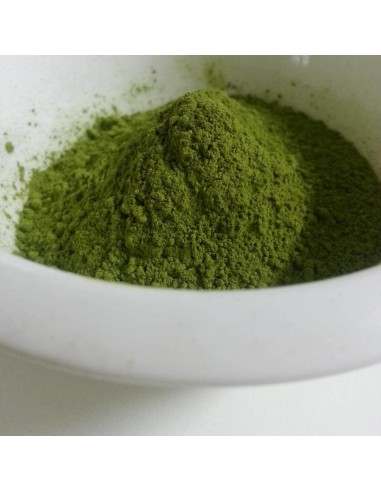 TE VERDE MATCHA PREMIUM BIO (Lata 30gr.) TE VERDE MATCHA PREMIUM BIO (Lata 30gr.)