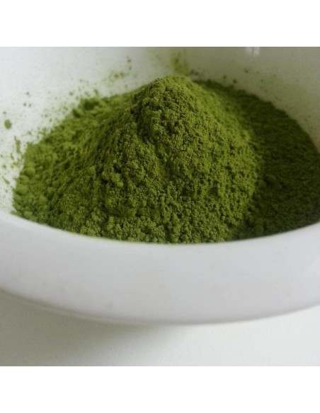 TE VERDE MATCHA PREMIUM BIO (Lata 30gr.)