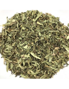 Stevia hoja cortada
