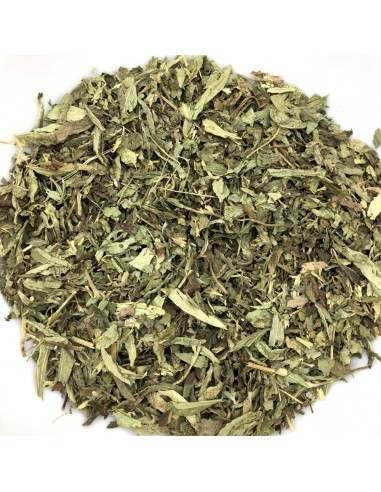 Stevia hoja cortada
