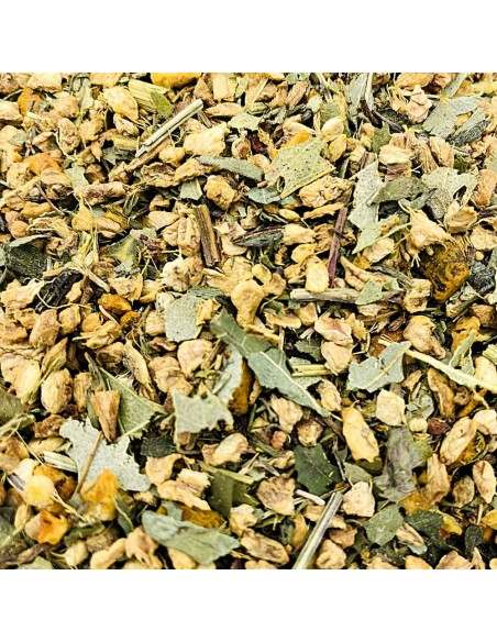 Infusión Jengibre Cúrcuma