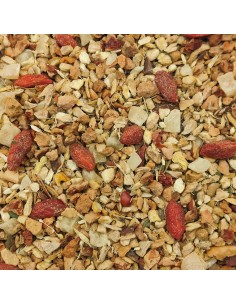 Infusión Jengibre Melón