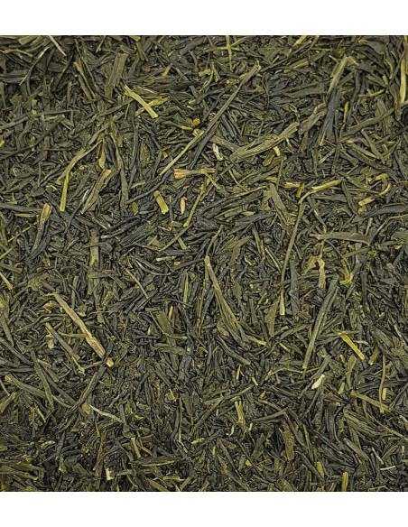 Té Sencha Gyokuro Asahi - Exclusivo