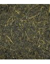 Té Sencha Gyokuro Asahi - Exclusivo