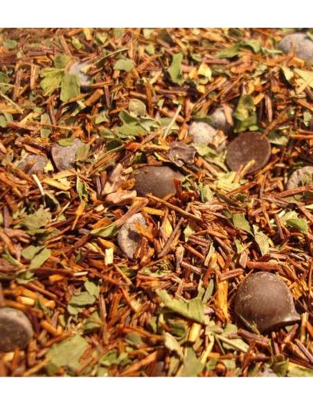 Rooibos Choco-Menta