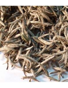 Té Blanco Silver Needles Premium