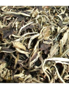 Té Blanco Pai Mu Tan Premium